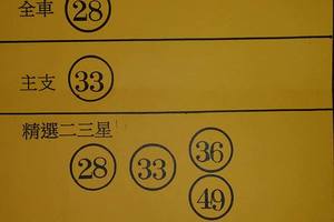 3/3天龍寶鑑>>>六合彩參考看看