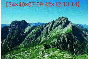 3/3六合彩參考看看