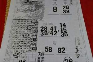 3/3龍財神>>>六合彩參考看看