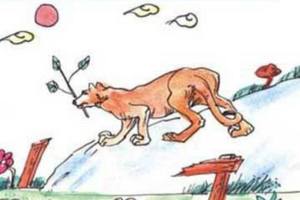 3/3六合彩參考看