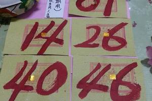 3/3六合彩>>神明牌參考看