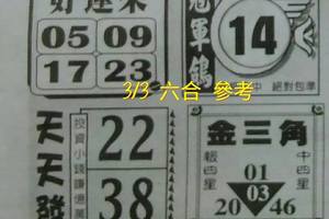 3/3好運來>>>六合參考
