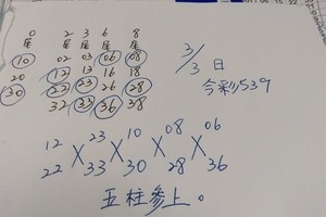 3/3今彩539版路參考看看>>>祝大家中獎