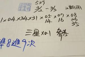 3/3今彩539參考看