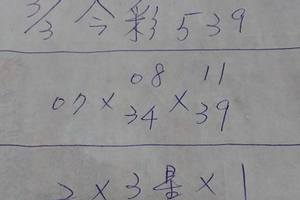 3/3今彩539參考看