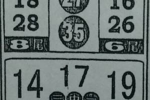 3/3今彩539參考看看