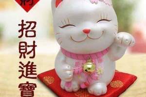 3/4今彩539參考看