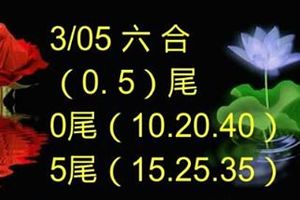 3/5香港六合彩參考看看