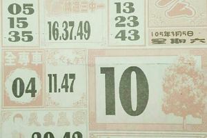 3/5 大樹公-六合彩參考 