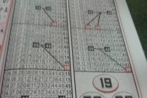 3/5 聖母寶鑑-六合彩參考