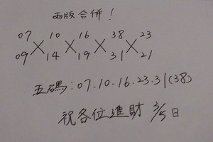 3/5今彩539參考看