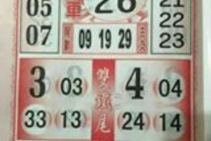 3/5今彩539參考看