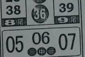 3/5今彩539參考看看