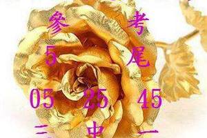 3/5六合彩參考看