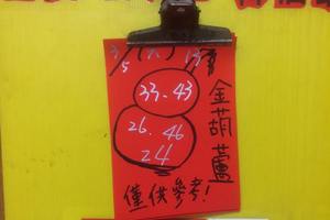 3/5 金葫蘆-六合彩參考 
