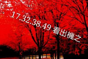 3/5六合彩參看看