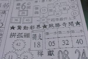 3/5六合彩參考看