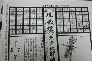 3/8道德壇天宮武財神>>>六合彩參考看