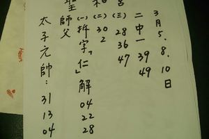 3/8聖和宮>>>六合彩參考看看