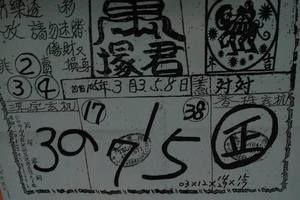 3/8萬塚君-六合彩參考