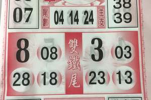 3/7今彩539參考看