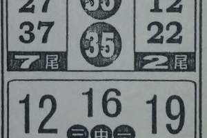 3/7今彩539參考看看