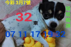 3/7今彩539參考看看