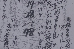 3/8靈保通>>>>六合彩參考看