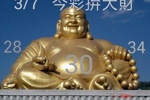 3/7今彩539參考看