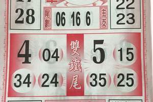 3/8今彩539參考看