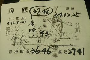 3/10溪底牌>>>六合彩參考看