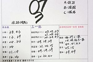 3/10承恩石頭公>>>>六合彩參考