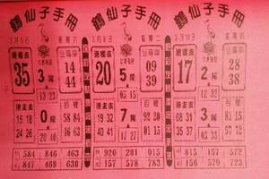 3/10鶴仙子>>>六合彩參考看