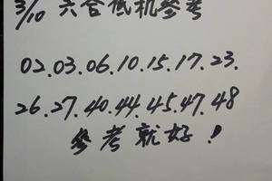 3/10六合低機參考看