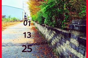 3/9今彩539參考看