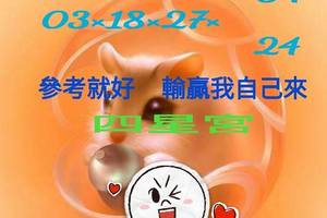 3/9今彩539僅供參考