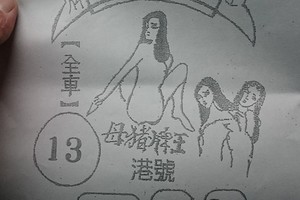 3/10豬母母娘>>>六合彩參考