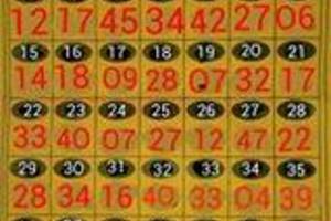 3/10奇機運轉>>>六合彩參考看