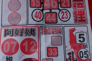 3/10龍報>>>>六合彩參考看