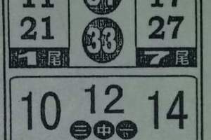 3/9今彩539參考看