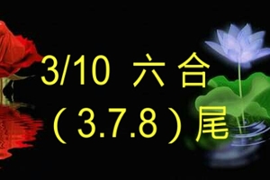 3/10六合彩尾數>>>參考看看