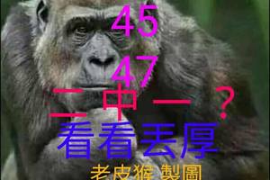 3/10六合彩參考看45.47>>>2星參考看