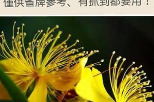 3/10六合彩低機參考看