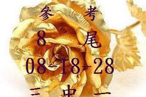 3/10香港六合彩>>>參考尾數8尾