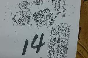 3/10北斗虎爺>>>六合參考看