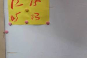 3/10神明牌>>>六合參考看