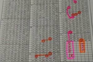 3/10香港六合彩版路>>>參考看看>>尾數5尾參考