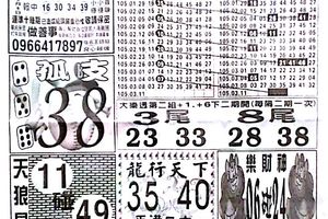 3/11 中國新聞報>>>>大樂透參考