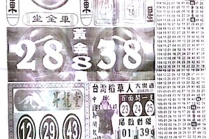 3/11大樂透參考看看