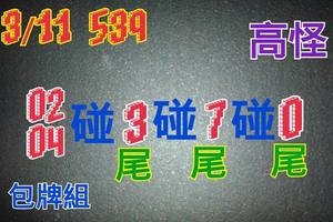 3/11今彩539參考看